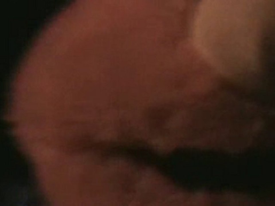 Elmo