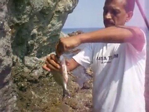 balikcilar.org Hasan BALIKÇI DİDİM/Kazıklı