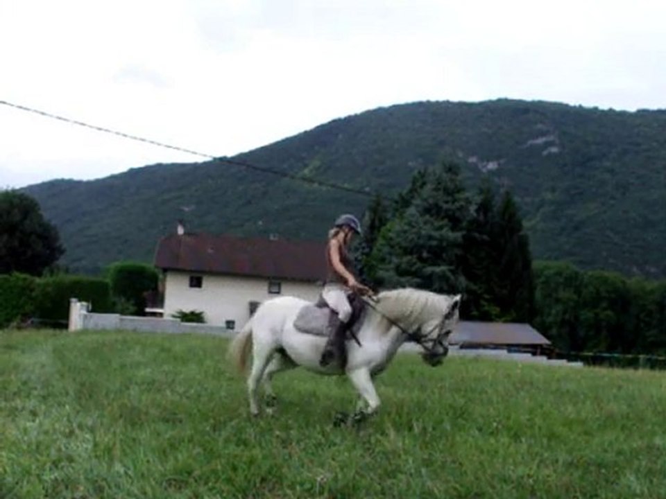 orelle plat