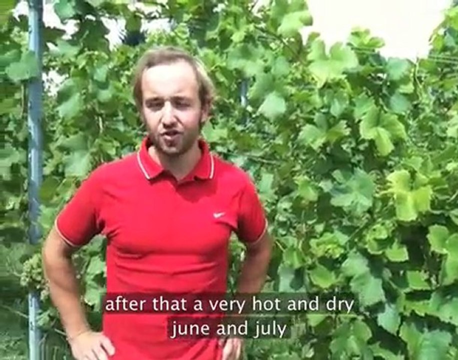 herrenhof episode 11 - Vintage Overview 2010 + Sub