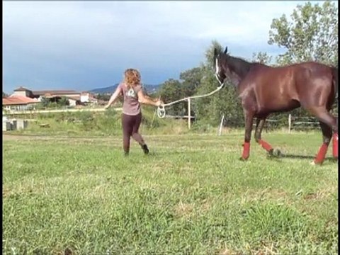 Olten travail a pied 15 aout 2010