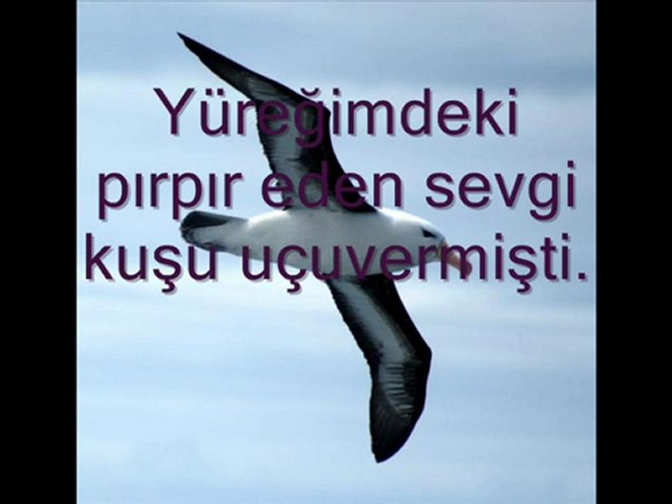neredeydin?
