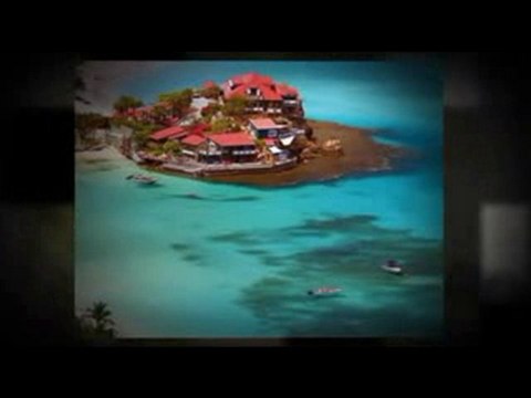 Consumers-Buying[ savevid.com](11)