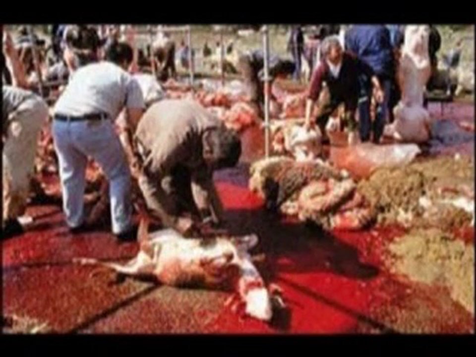 Cédric Paquet  par amour des animaux