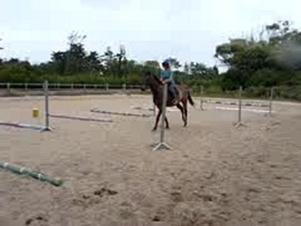 silhouetting - oxer 1m x 1,20m