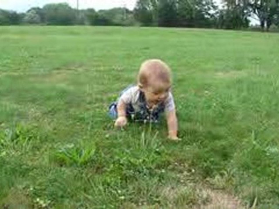 A 4 pattes, c'est bien aussi !