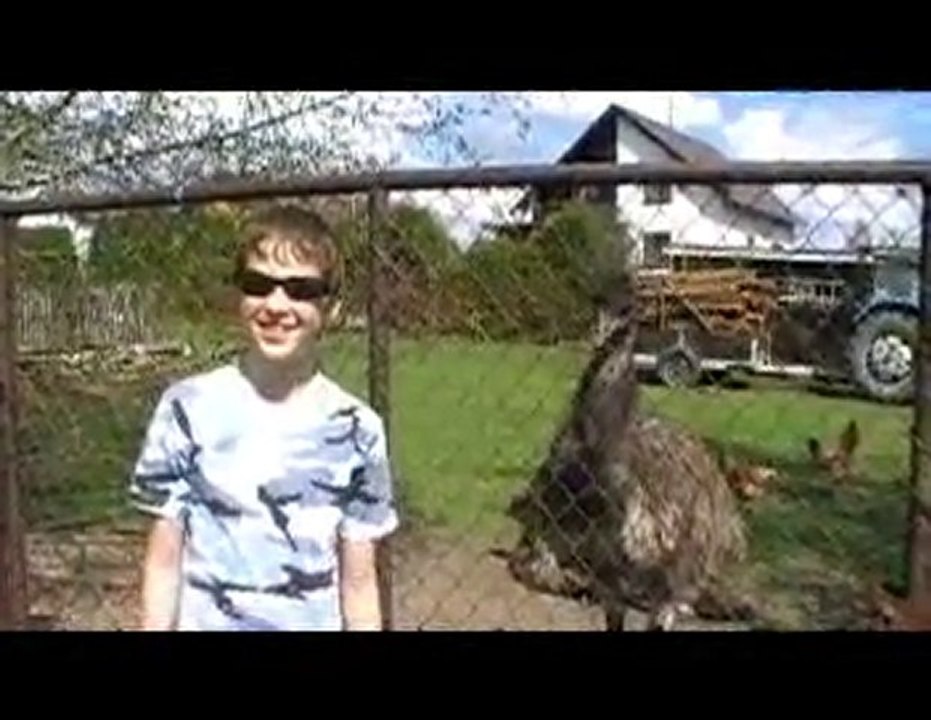 Toulky Vysočinou - Emu Hnědý