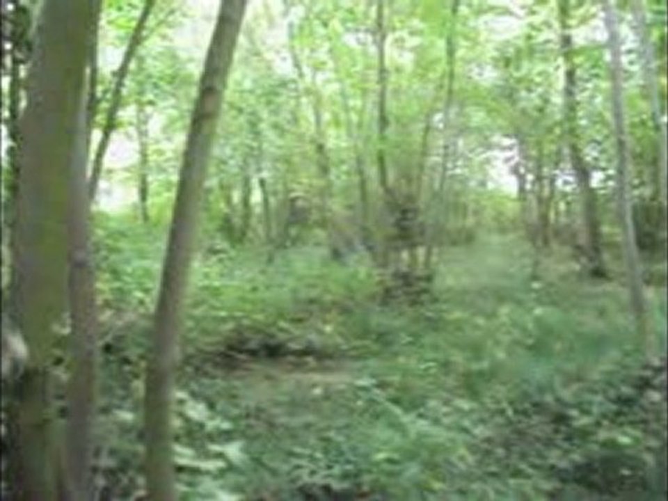 nouveau terrain des tchiuspaint
