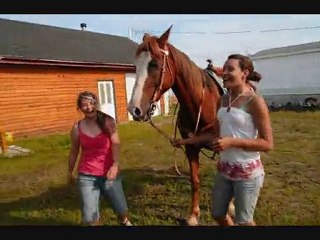 Conneries D'été 2010