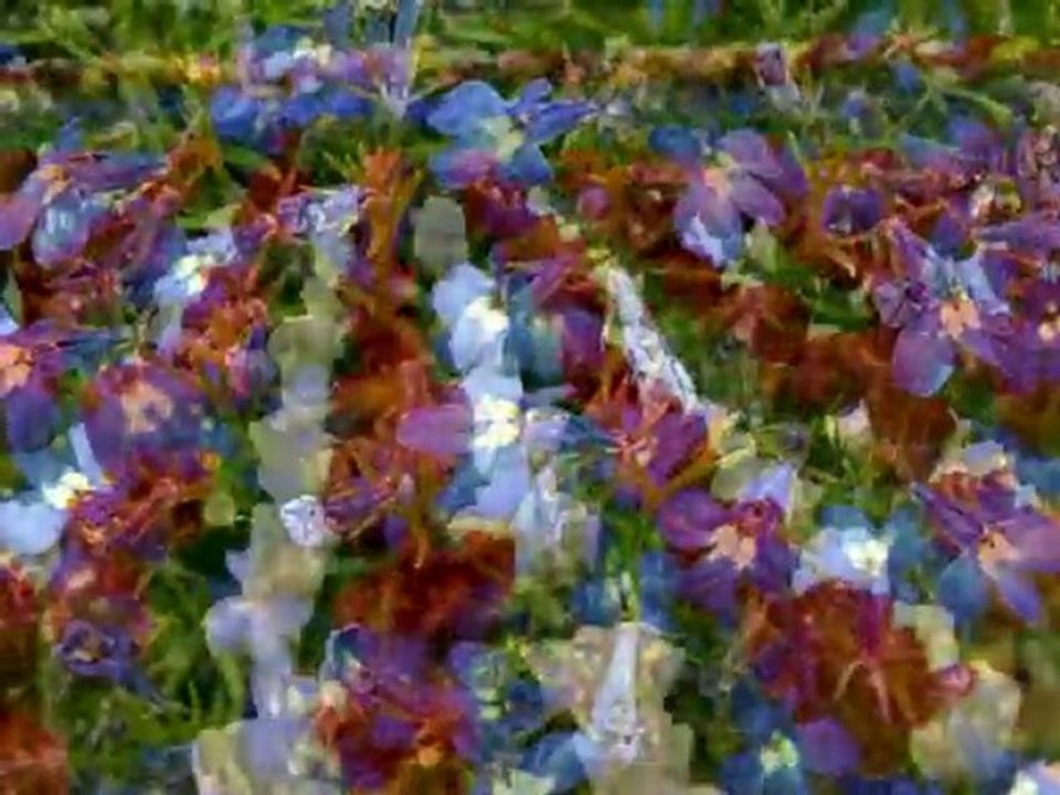 PLUS PRES DE TOI MON DIEU