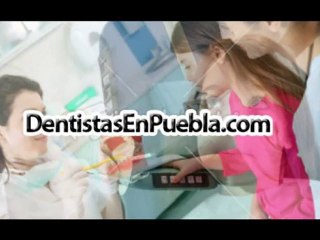 dentista puebla, dentistas puebla, dentistas en puebla