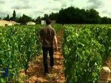 Les difficultés du métier de vigneron décrites par Jérémie Mourat