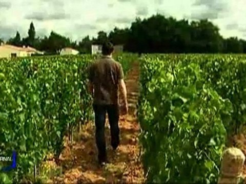 Les difficultés du métier de vigneron décrites par Jérémie Mourat