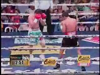 Donnie Nietes vs Mario Rodriguez  6.11