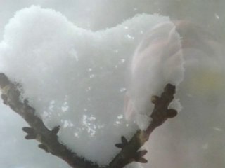 KINALI KUZUM...SÖZ & MÜZİK: ALİ ELİBÜYÜK