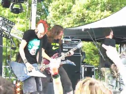 ULTRA VOMIT - Tirelipinpon sur le chihuahua - Chien à plumes