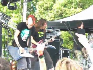 ULTRA VOMIT - Tirelipinpon sur le chihuahua - Chien à plumes