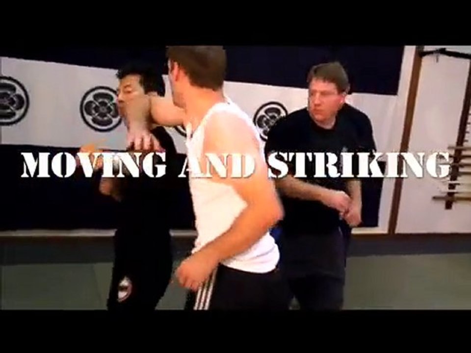 DVD Systema Martin Wheeler: "Moving and Striking"