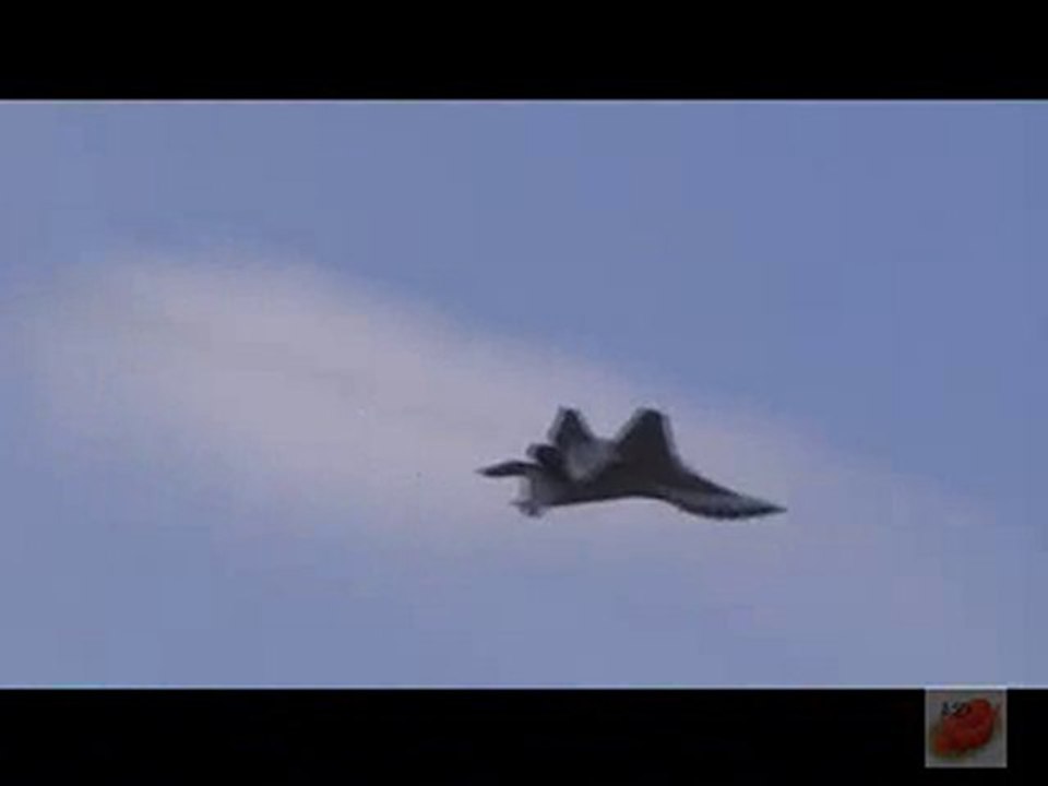 Mig 29 "Fulcrum"