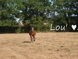 Lou' -- dernières séances et balades