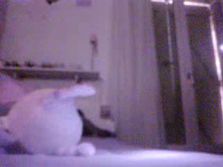 [Perruche.org] Camera infrarouge