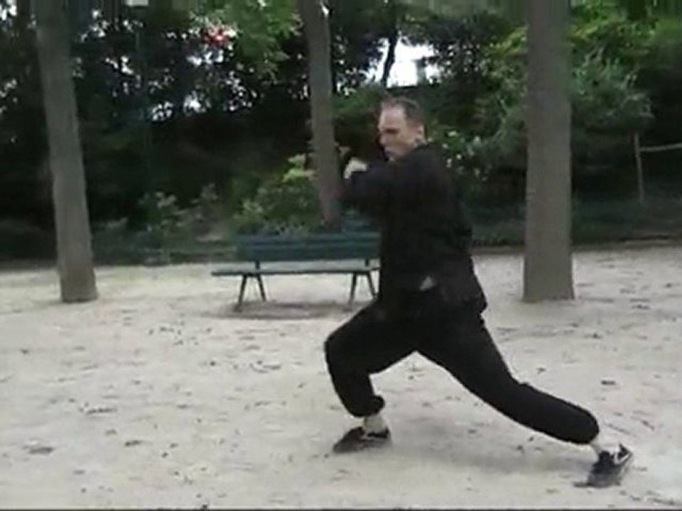 Learning Wushu