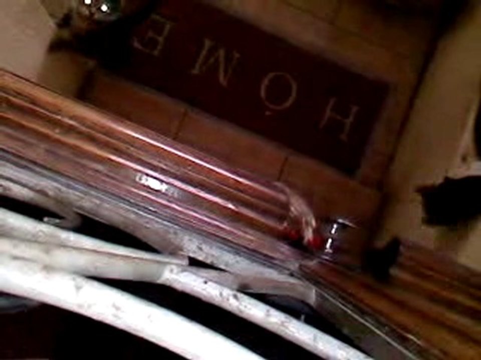 les aliens sont parmi nous (minou?)