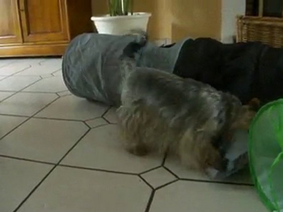 Jeu Lena Bella tunnel