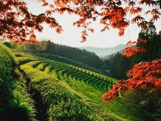 Atemberaubende Natur