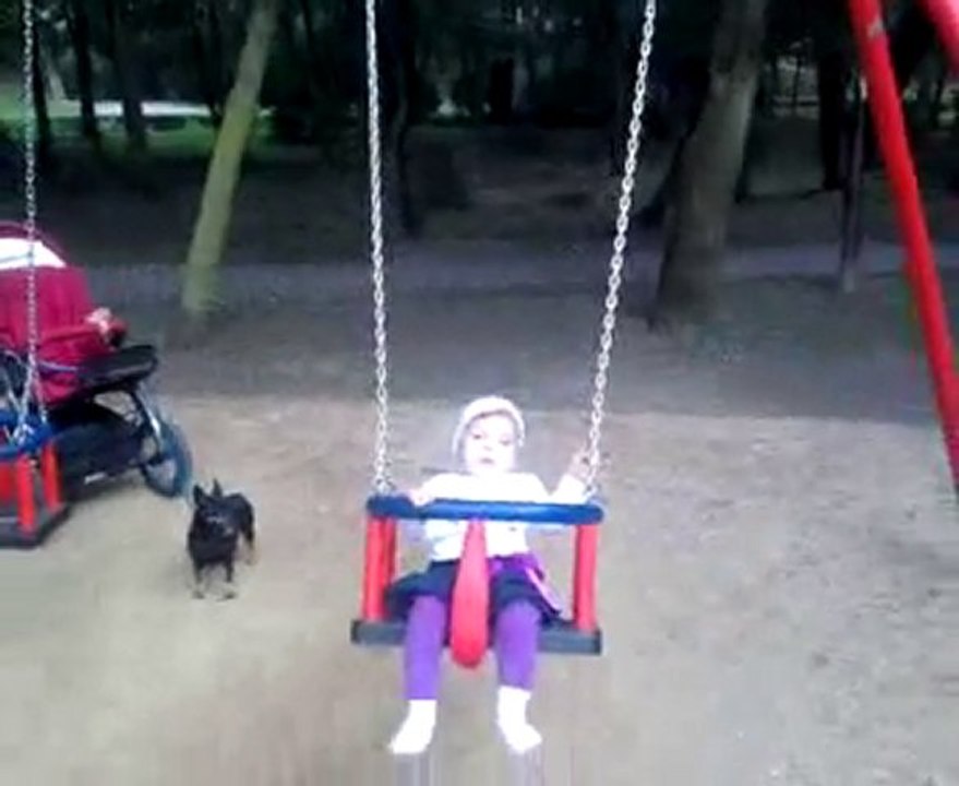 Amelcia husiu, husiu