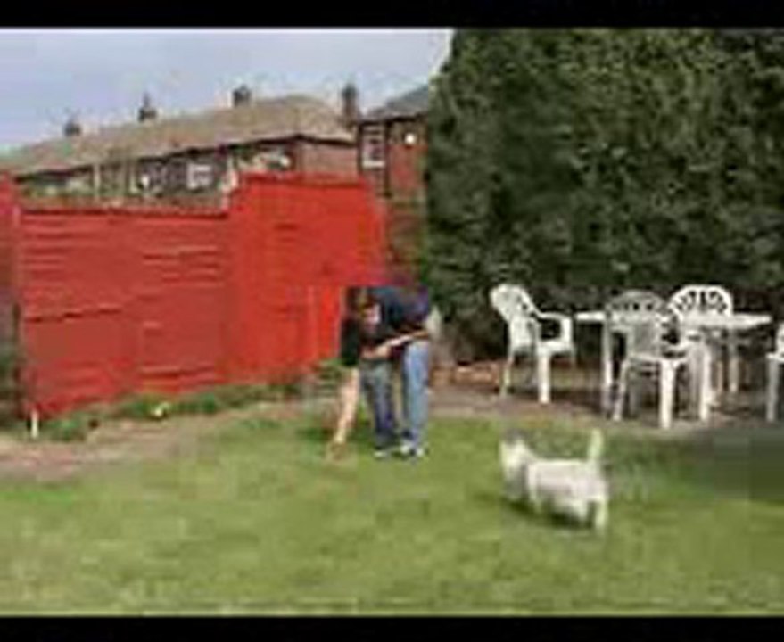 Play dog