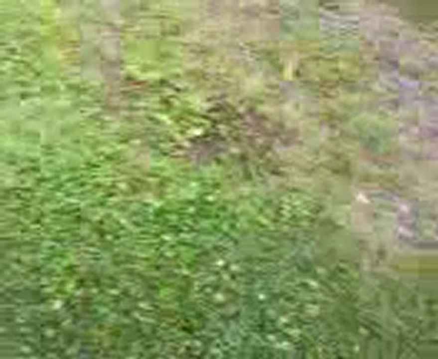 Compte tours et Burn