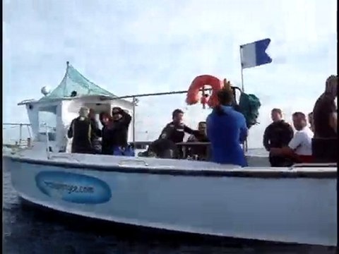 ils ont des chapeaux ronds