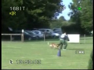 DINOZZO DU DRAGON ROUGE DE JUPITER