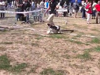 ECLIPSE    CACS MENDE 2010