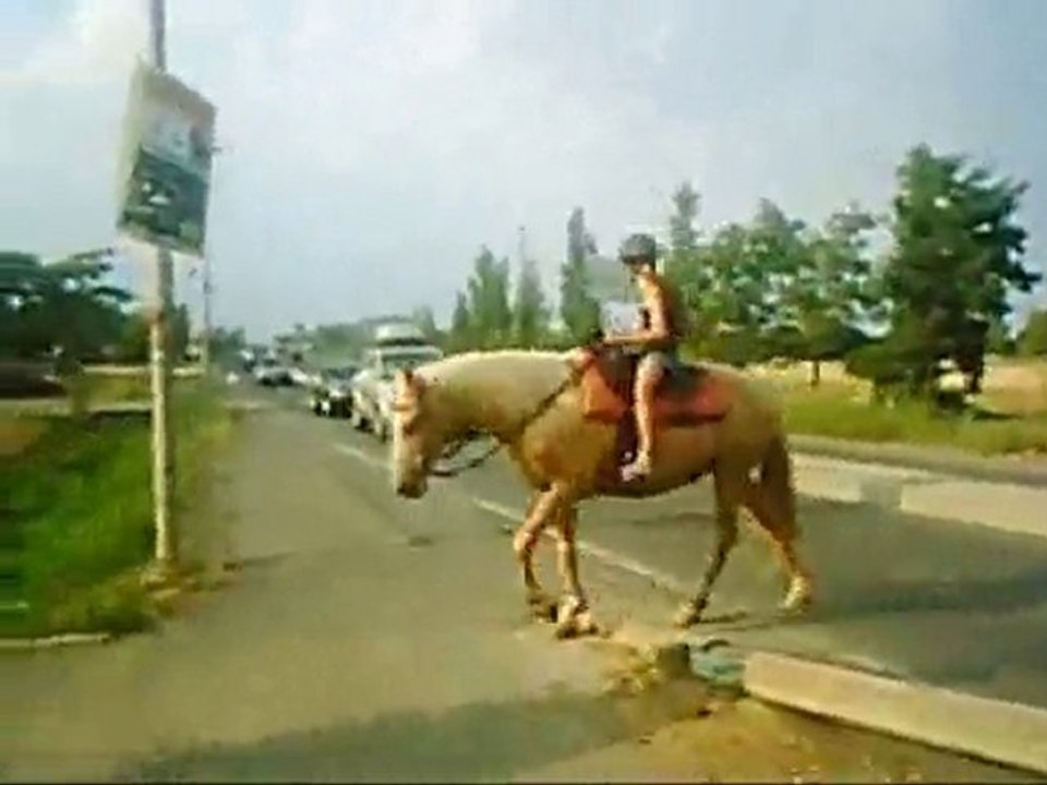 Les Aventures de Alexandra et Tom