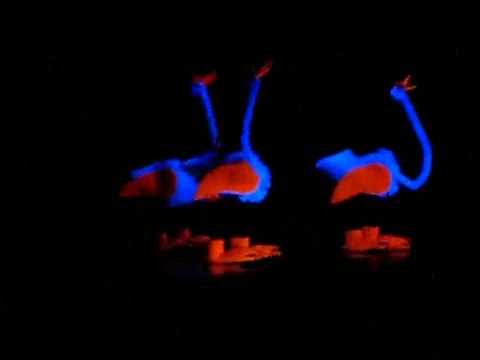 hotel vincci nour palace tunisie animation 2010