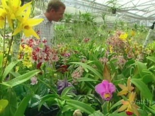 Top Activities in Hawaii