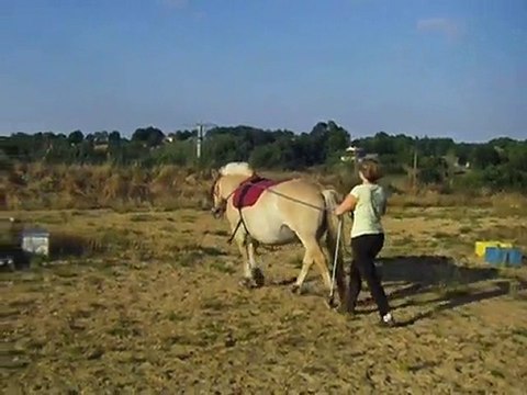 ma didine en longues renes