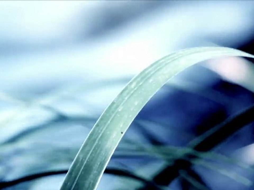 Paysages avec Musique Commune (Etude)