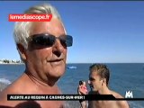 Côte d'Azur : Alerte au Requin.