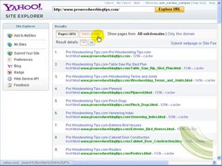 Why Doesn't My Web Site Rank In Google?