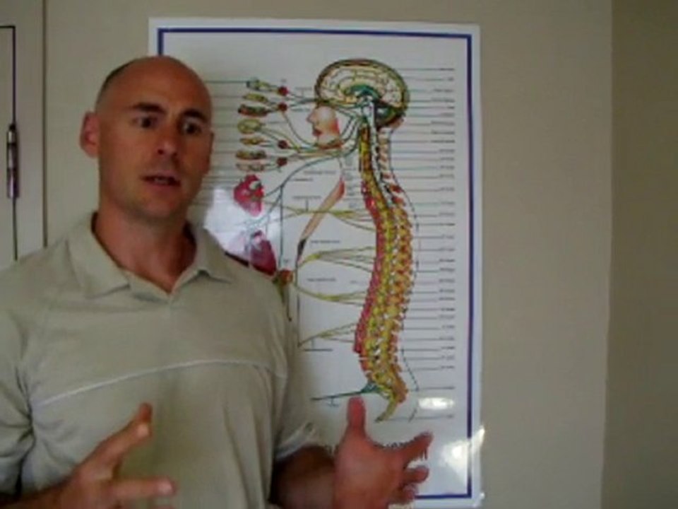What Does A Chiropractor Do?
