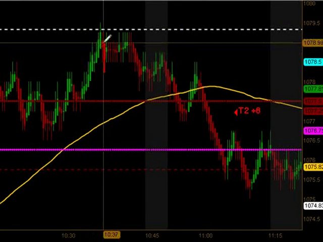 Learn How To Trade Emini Futures August 16 2010