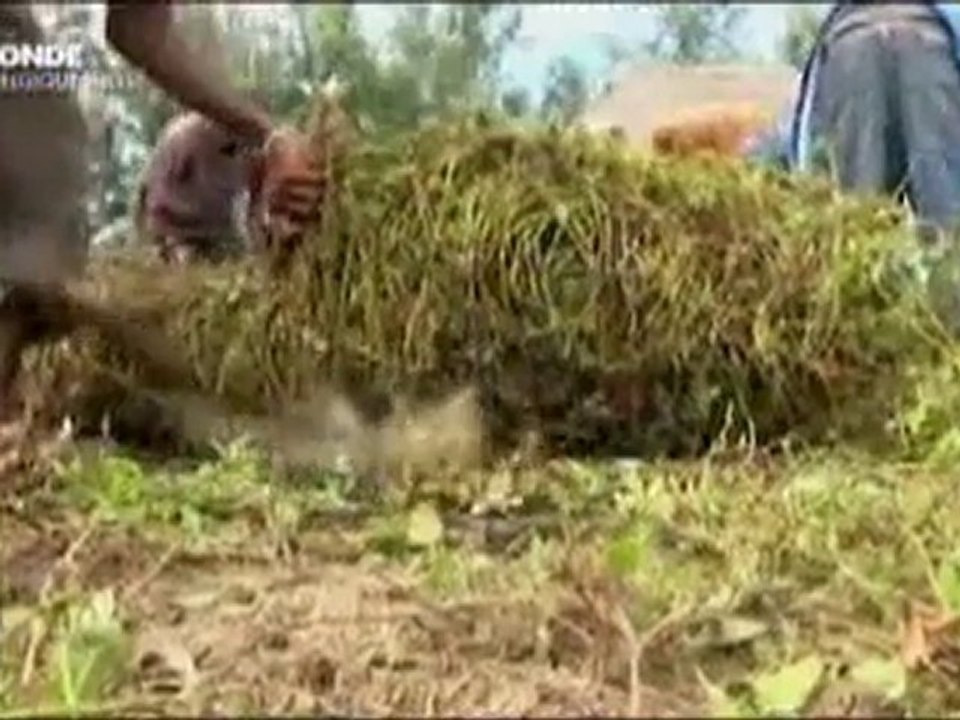 Des relations depuis des siècles entre le Kenya et la Chine