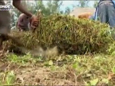 Des relations depuis des siècles entre le Kenya et la Chine