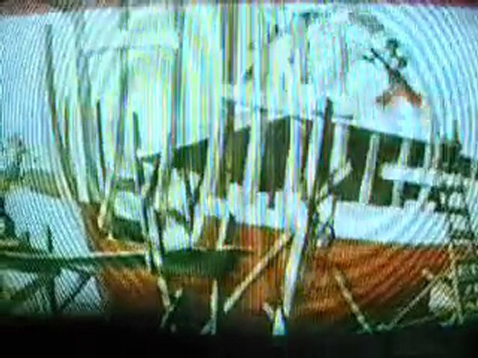 Closing to Pollyanna 1981 VHS