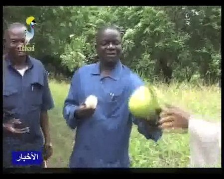 DERIER JT ARABE DU 16/08/2010 PAR TCHADONLINE.TV