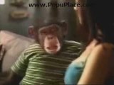 Talking Monkey Hits on a Hot Babe