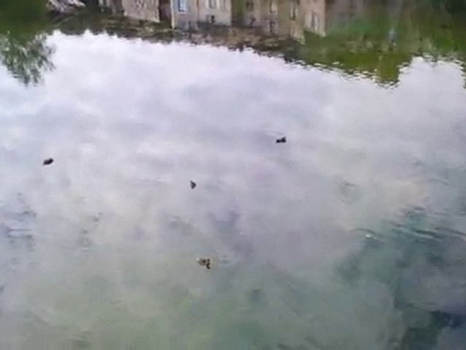 Vidéo0019
